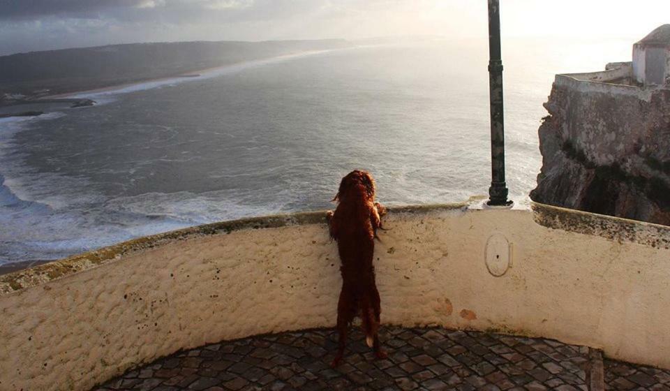 Nazare - The Little Star Villa Eksteriør billede